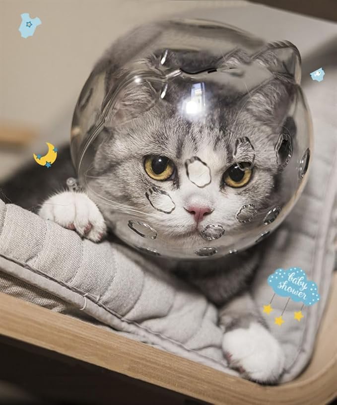 Adjustable Breathable Cat Muzzle - Transparent Astronaut-Style Helmet for Preventing Biting, Chewing During Grooming (For Kittens & Aggressive Cats) (S)