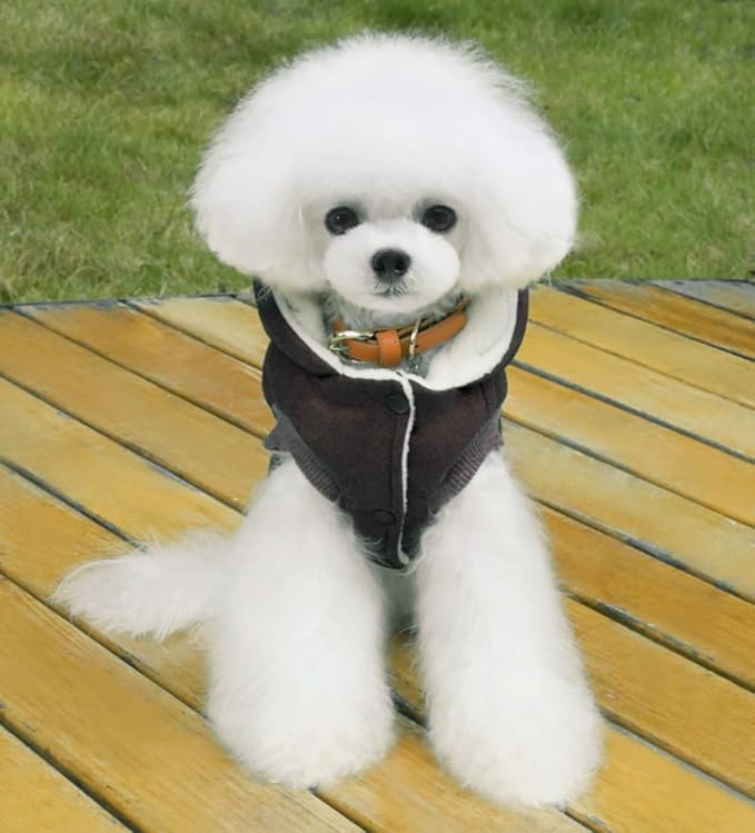 Dog Coat Dog Jacket Hoodie Cold Weather Coats Warm Coat Dog Clothes Winter Thick Clothes Dog Cozy Jacket for Small Dog Medium Cat (XL, B-Black)