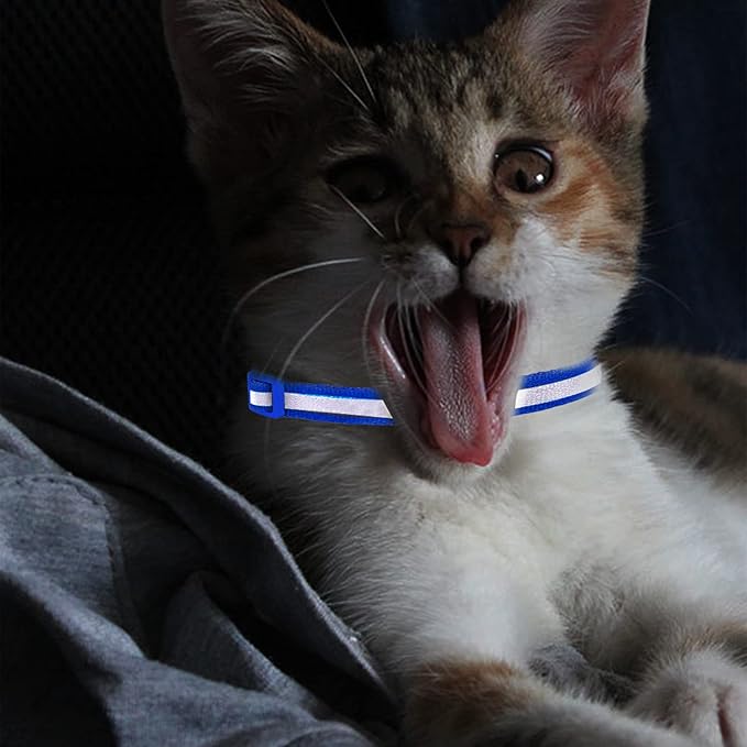 CAMAL Cat Collar with Name Tag, Reflective Cat Collar Breakaway for Kitten Puppy, Personalized Cat Collar, Adjustable 7.5"-12.5" (Royal Blue)