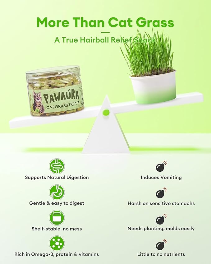 Cat Grass Treats for Hairball Control – Natural Chicken & Catnip Biscuits, Low-Calorie Healthy Snacks for Indoor Cats, Digestive & Dental Care (3.53 oz, Chicken)