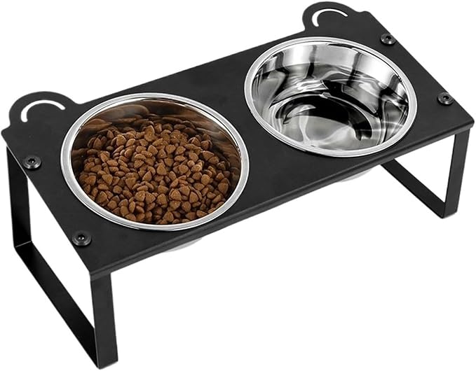 Cat Food Water Bowls 2 Stainless Steel with Metal Stand 15° Tilted