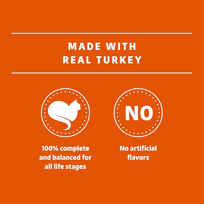 Amazon Brand - Wonder Bound Canned Wet Cat Food (Turkey Recipe in Gravy), No Artificial Flavors, Adult Recipe, 3 Ounce (Pack of 24)