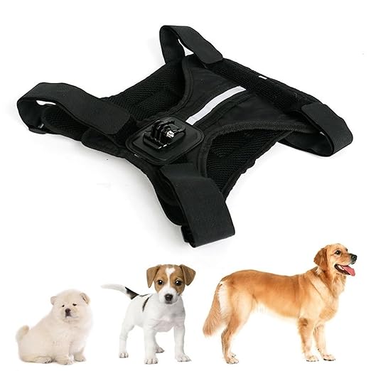 Adjustable Dog Harness Camera Dogs 8-35kg | Capture Perspectives While Playing