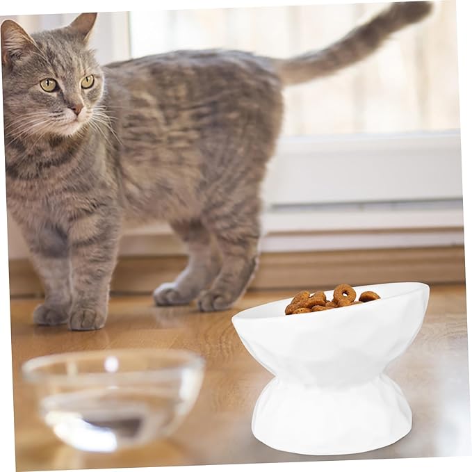 Alasum Elevated Cat Ceramic Feeding Bowl with Neck Protection, Small White Raised Pet Feeder for Kitten, Anti-Spill Design Suitable for Indoor Cat Feeding and Watering