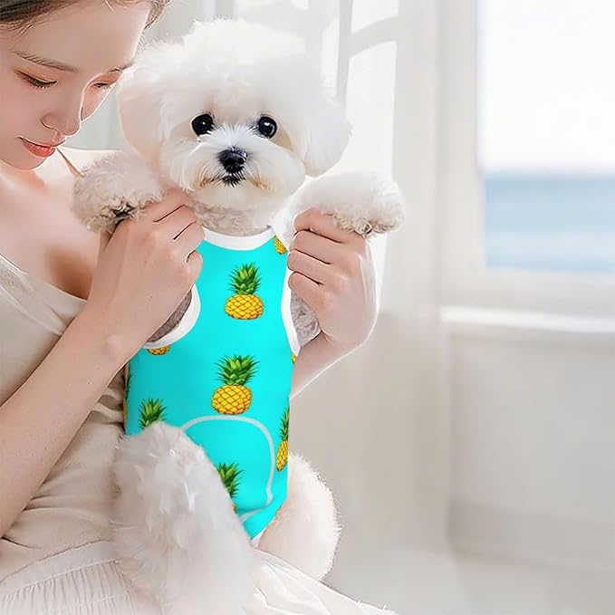 Dog Surgery Recovery Tropical Pineapples Suit After Spay Dogs Cone Alternative Onesie
