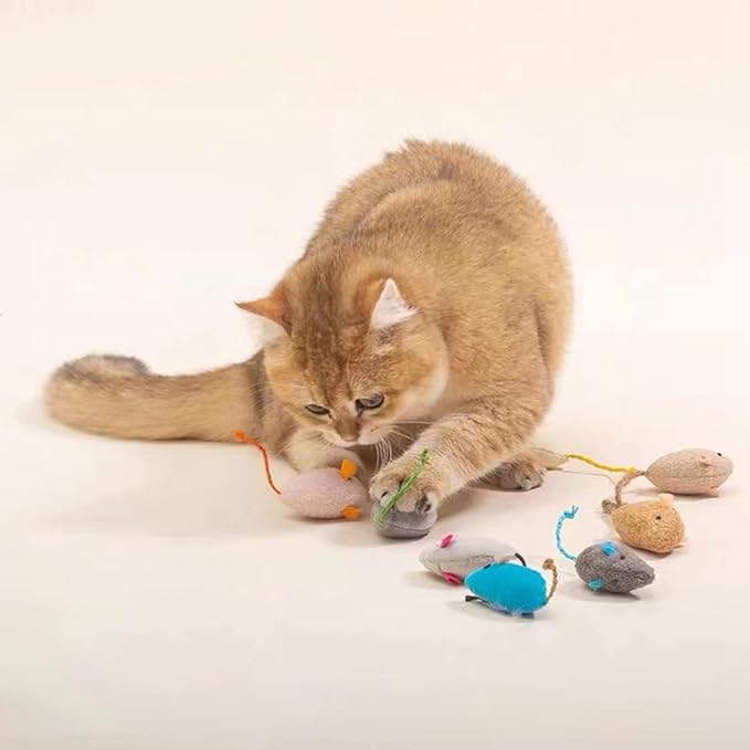 Catnip Toy, Cats Mouse Plush Cat Toys, Cat Mice & Animals Toys for Indoor Cats and Kittens, Cat Chew Toy for Exercise for Pet Cat Kitten Kitty (6 Packs)