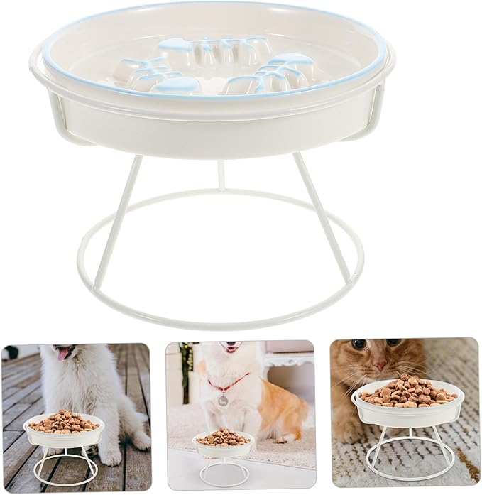 Abaodam Elevated Ceramic Cat Bowl Kitten Slow Feeder Pet Food Dish for Indoor Cats