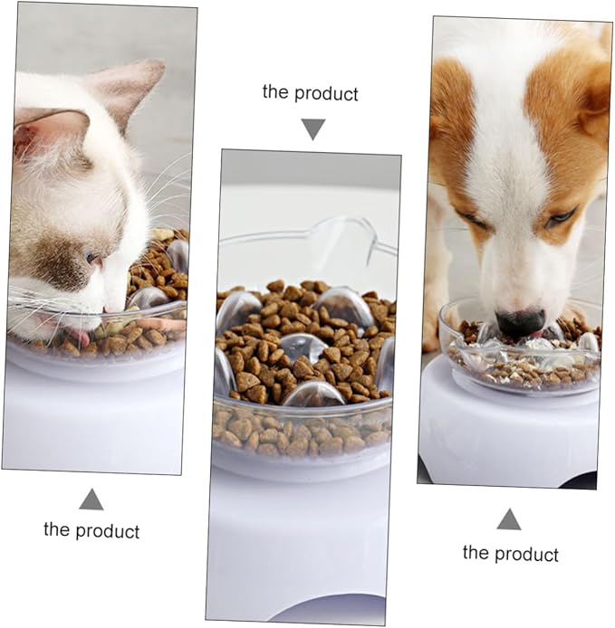 Tilted Cat Food Bowl 15° Raised Plastic Feeder with Neck Protection White Elevated Pet Feeding and Watering Dish for Cats