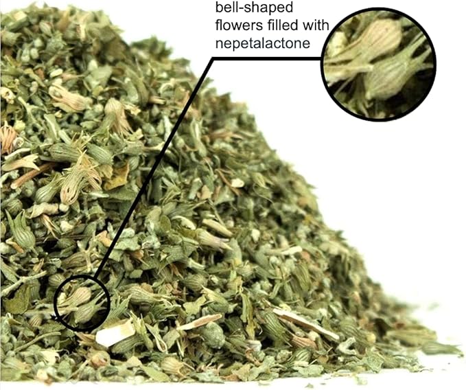 Feline Fantasy Blend, Silvervine: USDA Certified Organic American Catnip w Silvervine Matatabi , 1 Cup Refill - Eco-Safe, Freshness-Sealed - A Purrfect Treat for Your Feline (Eco Silvervine Mix)