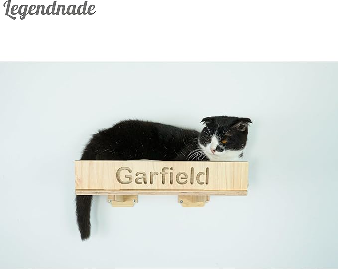 Personalized Cat Shelf Wall, Hanging Pet Bed, Wood Wall Mounted Cat Shelves, Wooden Furniture Station Toy Perch for Playing Sleeping Scratching, Your Cats Gifts