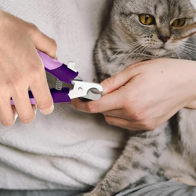 WePet Pet Nail Clippers U07.3, Professional Claw Trimmer, Scissor for Cats, Dogs, Puppies, Kittens, Hamsters, Rabbits and Small Animals, Sharp, Safe, M, Pink/Purple