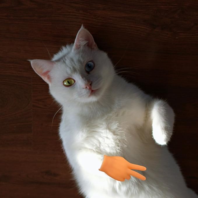 6 Pcs Cute Mini Hands for Cats,Tiny Human Hands for Cats,Rubber Mini Tiny Finger for Cats
