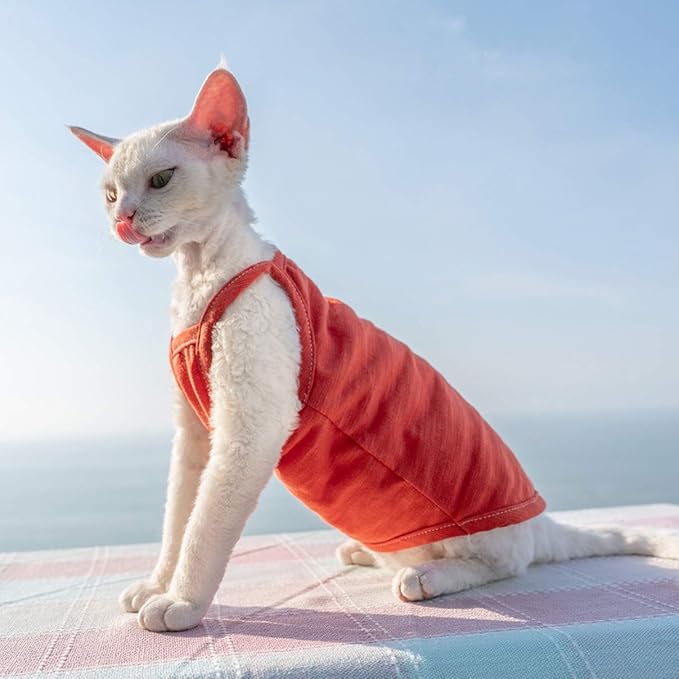 Hairless Cats Solid Cotton Camisole, Breathable Summer Tank Tops for Sphynx, Cornish Rex, Devon Rex, Peterbald, Cat Wear Hairless Cat Clothes Soft Skin-Friendly Cats Apparel Assorted Colors and Sizes