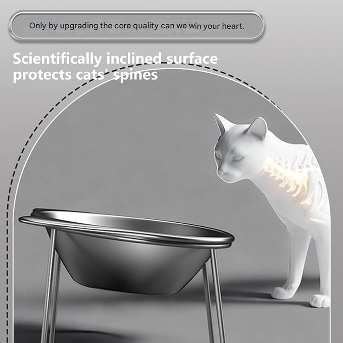 ordinarYone Raised Cat Feeding Bowls Stainless Steel Weighted Base Feeding Watering