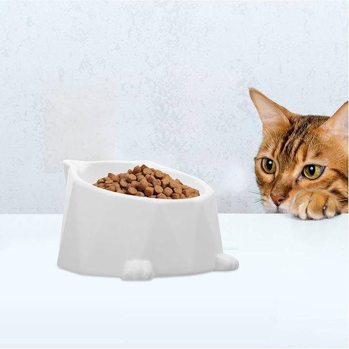 BESPORTBLE Ceramic Elevated Cat Bowl with Anti-Spill Design Wear-Resistant Raised Pet Feeding Bowl for Cats and Small Dogs for Daily Use