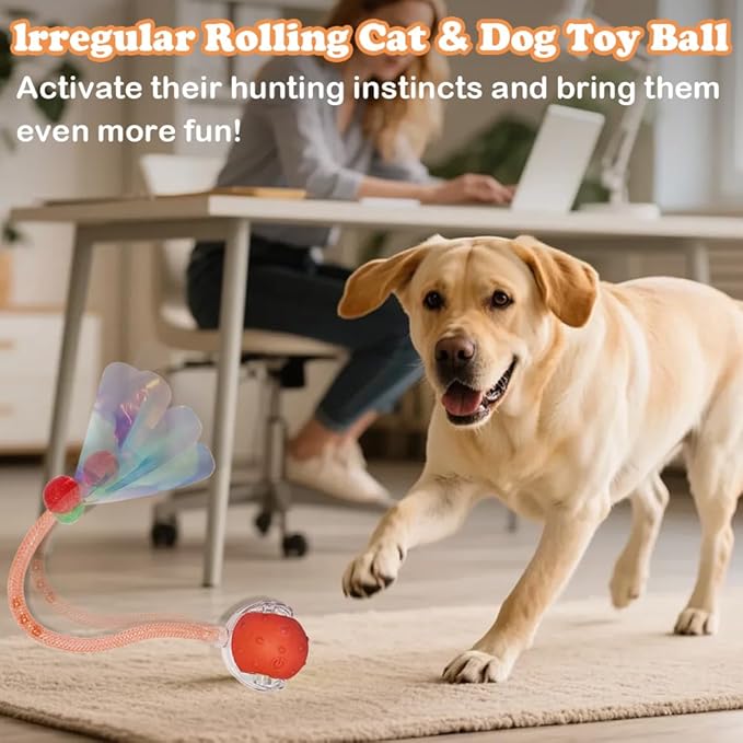2Packs Interactive Cat Toys Ball for Indoor Cats, Smart Automatic Cat Chase Ball Toy, Generation Moving Cat Ball with Elastic Mesh Tail Motion Activated