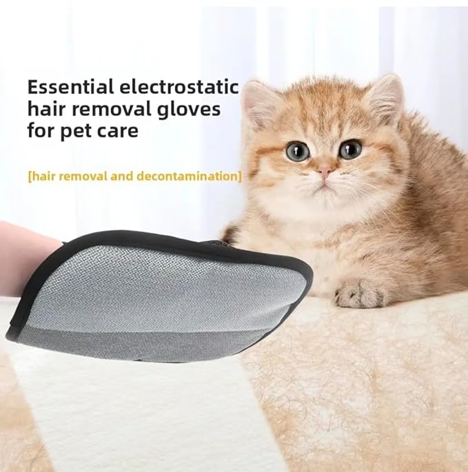 2-Piece Pet Grooming Set - 3-in-1 Self-Cleaning Steam Brush & Deshedding Glove for Dogs & Cats - Cool Mist Grooming Brush for Shedding, Massage & Cleaning