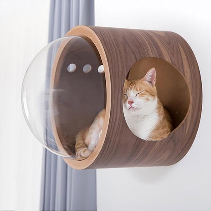 Round Cat Wall Furniture Wall Shelves for Cats Wood Transparent Capsule Breathable for Indoor Large Small Kitten