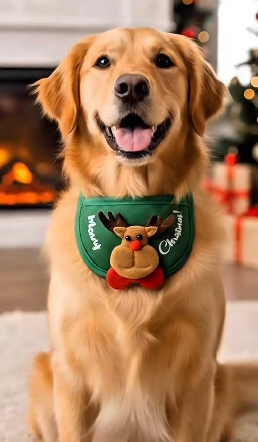 Christmas Tree Hat & Bib Set for Pets, Adjustable Dog Cat Costume with Pom-Pom for Xmas Party & Photos(S)