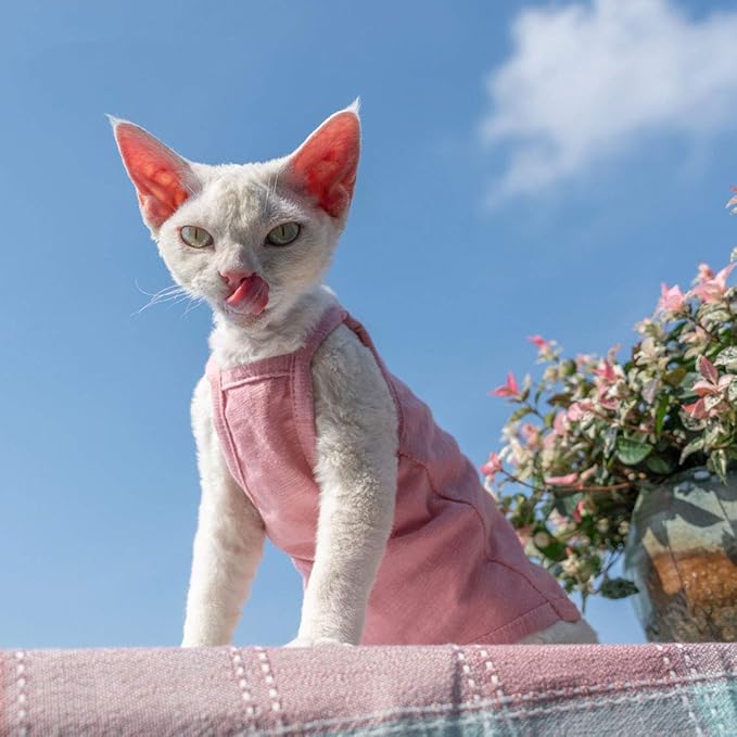 Hairless Cats Solid Cotton Camisole, Breathable Summer Tank Tops for Sphynx, Cornish Rex, Devon Rex, Peterbald, Cat Wear Hairless Cat Clothes Soft Skin-Friendly Cats Apparel Assorted Colors and Sizes
