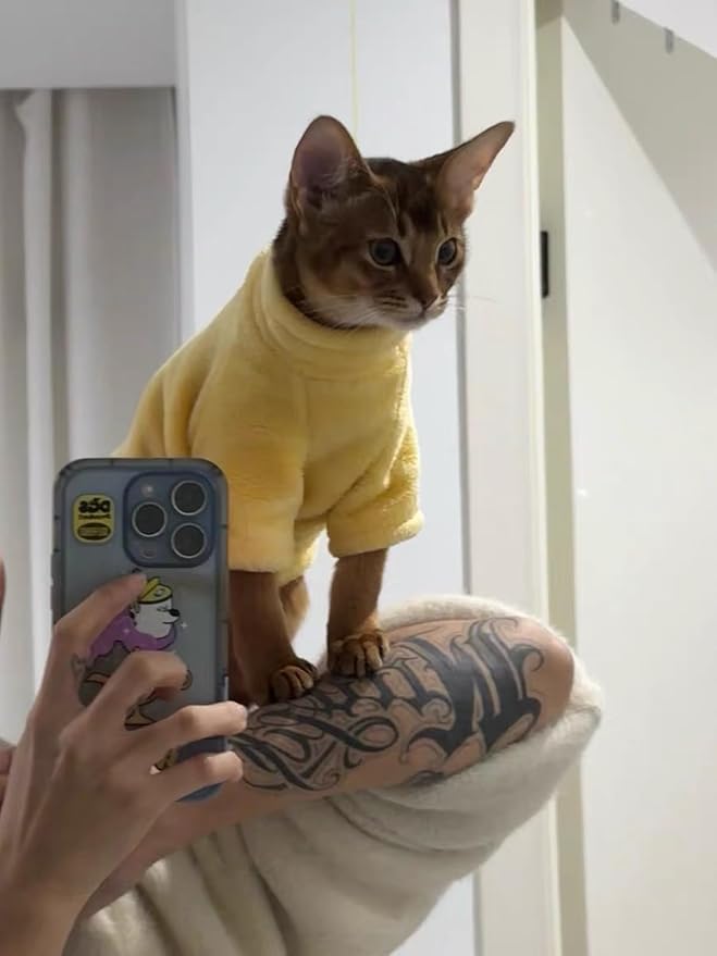 Sphynx Cat Clothes Winter Turtleneck Soft Coral Fleece Cat Clothes Thicken Warm Pajamas Coat for Hairless Cats and Small Cat Apparel with Sleeves (Lemon Yellow, M（3.8-6lbs）)