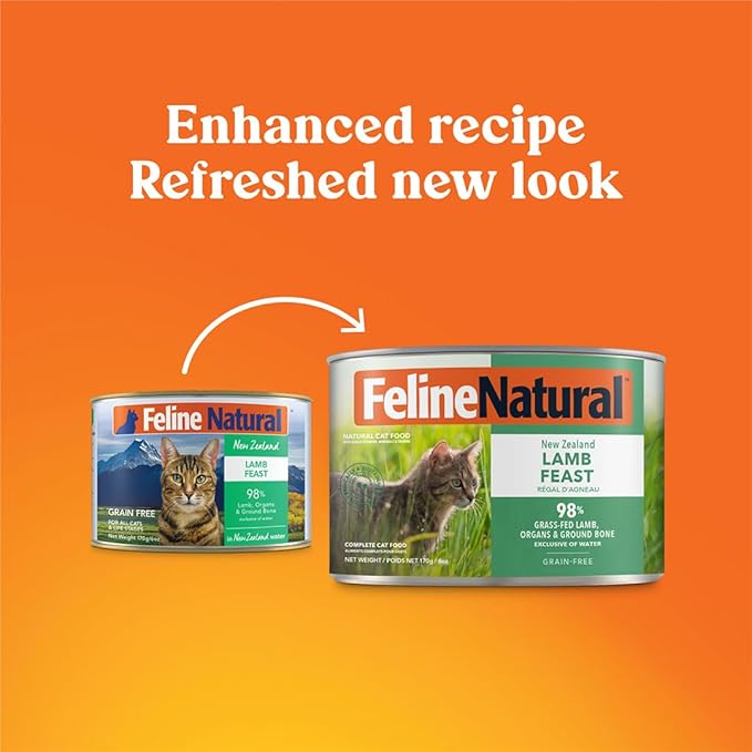 Feline Natural New Zealand Canned Catfood Wet Food, High-Meat, Low-Carb, & Grain Free Cat Food Wet, Lamb Feast, 6 oz, Pack of 12
