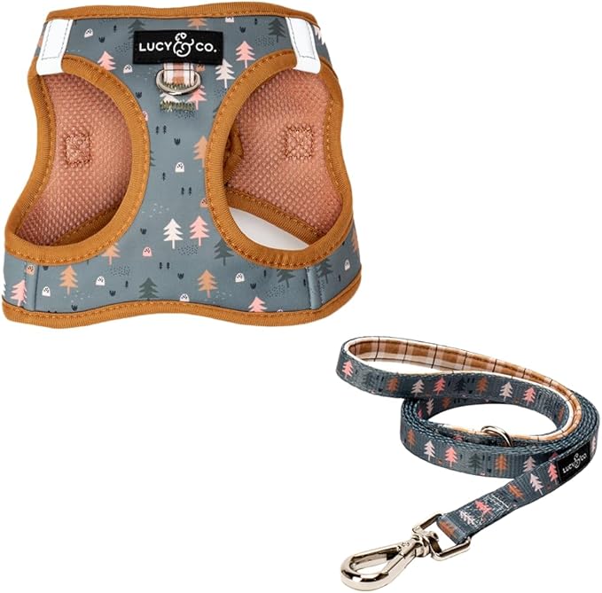 Lucy & Co. Take a Hike Step-in Cat Harness & Leash Bundle – Reflective, Breathable & Adjustable Harness for Cats, Kittens & Small Dogs, Lightweight & Secure and Dual Leash Clips – Large