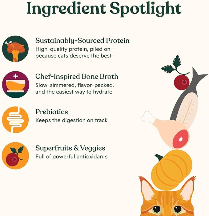 Made by Nacho Pate Wet Cat Food Variety Pack, Chicken, Salmon, and Turkey, 5.5 Ounce Cans, Grain-Free Canned Pet Food, Bone Broth Infused for Hydration, Limited Ingredients, 12 Pack
