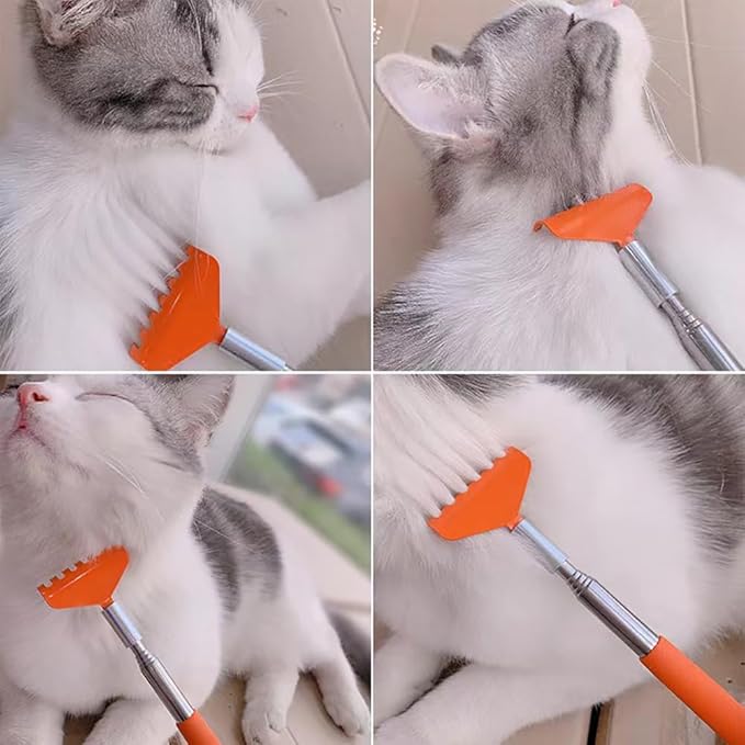 2-Pack Pet Interactive Touch Therapy Toys for Cats & Dogs, Telescopic Pet Massage Stick for Training, Bonding, Socialization, Retractable 22 Inch Skeleton Hand & Rake Shaped Teaser Wand