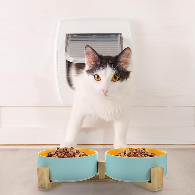 Toddmomy Ceramic Elevated Cat Bowls Dual-Color Matte Finish Blue-Yellow Bowls Wooden Stand Indoor Cat Feeding Watering