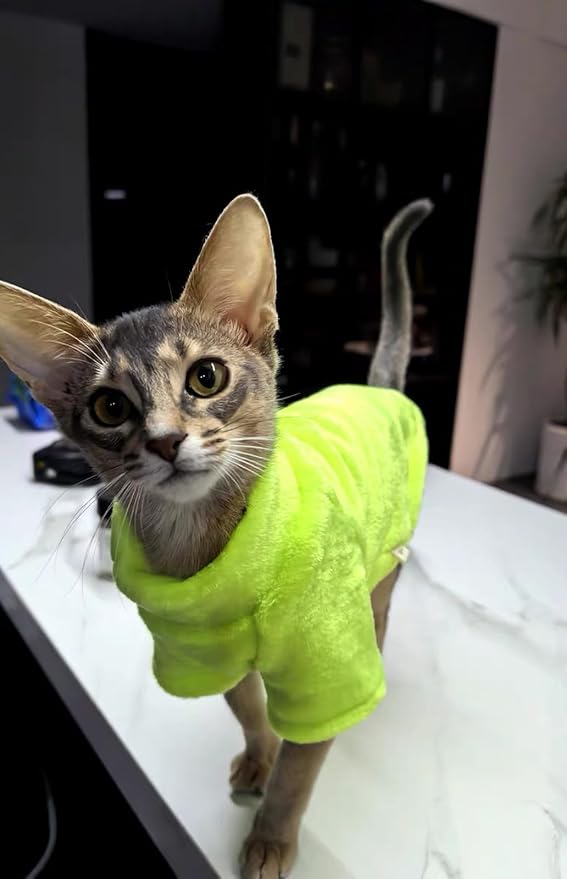 Sphynx Cat Clothes Winter Turtleneck Soft Coral Fleece Cat Clothes Thicken Warm Pajamas Coat for Hairless Cats and Small Cat Apparel with Sleeves (Fluorescent Green, XL (9.3-12.7lbs)