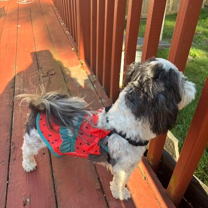 Funny Dog Swimwear Bikini Summer Dog Clothes Beach Swimsuit Puppy Bathing Suit Puppy Vest Cooling Pet Shirt for Small Dogs, Cat Apparel (Watermelon, XX-Large)