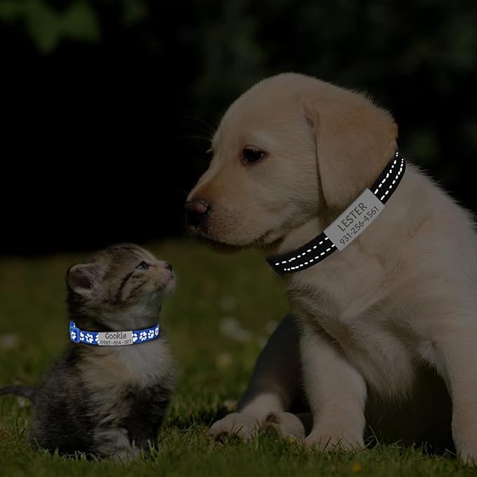 CAMAL 2 Pack Reflective Cat Collar Personalized, Custom Breakaway Cat Collar with Stainless Steel Pet ID Tag, Adjustable Cat Collars with Name and Phone Number for Cat Kitten Puppy