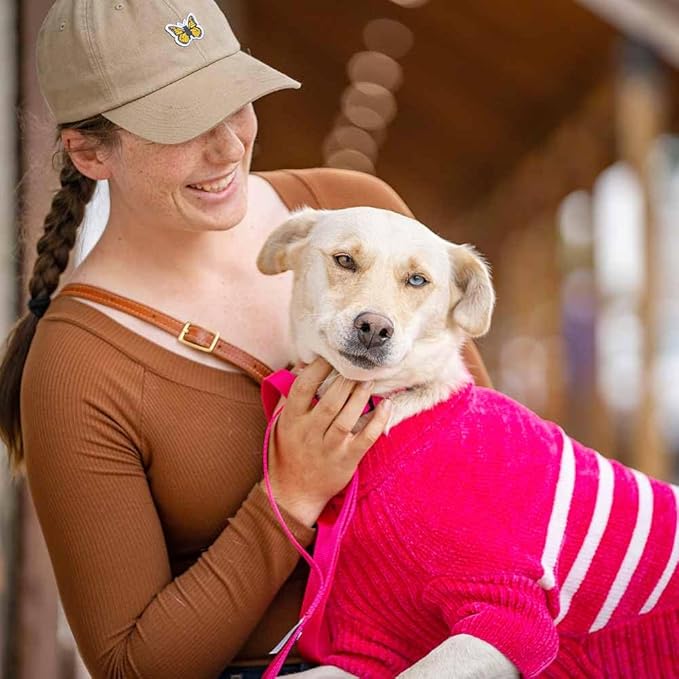 Blueberry Pet Cozy Soft Chenille Classy Striped Dog Sweater in Hot Pink, Back Length 14", Pack of 1 Clothes for Dogs