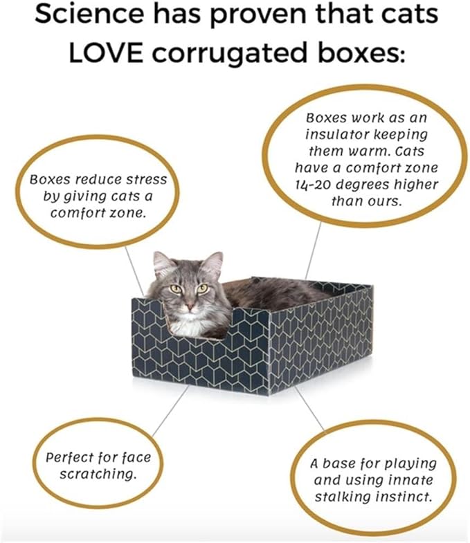 BOWERY HILL Premium Corrugated Cardboard Cat Box, Peek-a-Boo Cutout Design, Durable Blue Finish, Cozy and Interactive Lounger, Stylish Pet Accessory for Indoor Cats