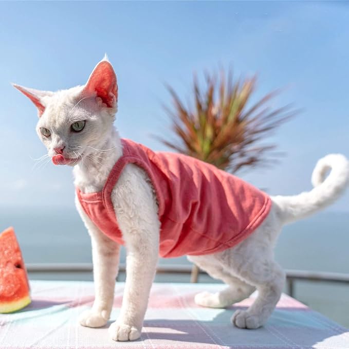 Hairless Cats Solid Cotton Camisole, Breathable Summer Tank Tops for Sphynx, Cornish Rex, Devon Rex, Peterbald, Cat Wear Hairless Cat Clothes Soft Skin-Friendly Cats Apparel Assorted Colors and Sizes