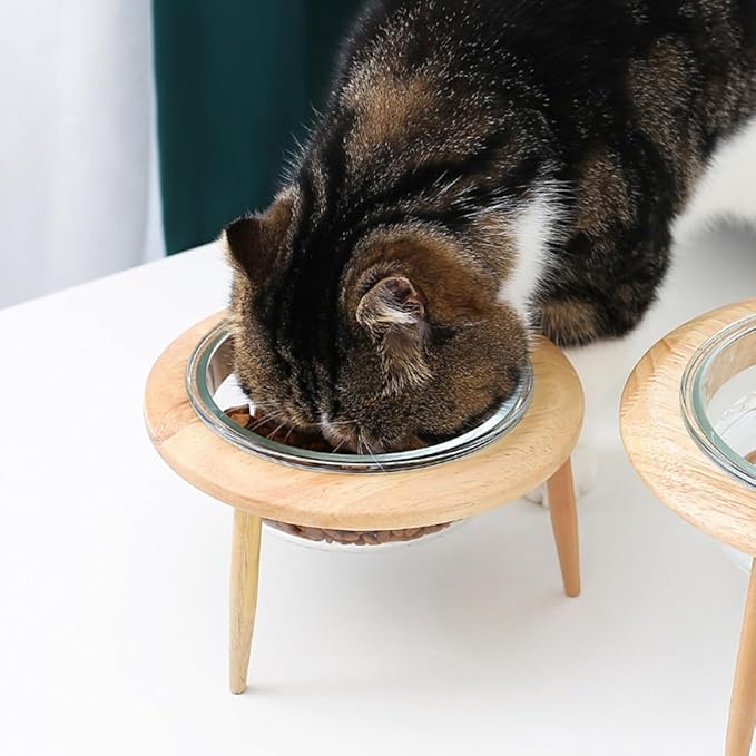 Alasum Glass Pet Feeding Bowl with Elevated Wooden Rack, 14.7cm 480ml Raised Pet Feeder for Cats and Small Dogs, Sturdy Glass Dish for Slow Feeding and Watering