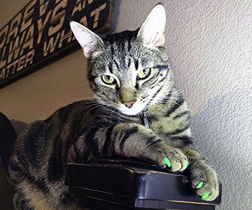 6 Month Supply Soft Nail Caps for Cats Green Glitter Medium - Extra Adhesives