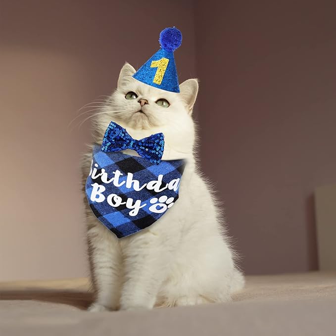 Cat Birthday Party Supplies with Hat, Scarf, Tie & Bandana - Cat Themed Decor (Blue)
