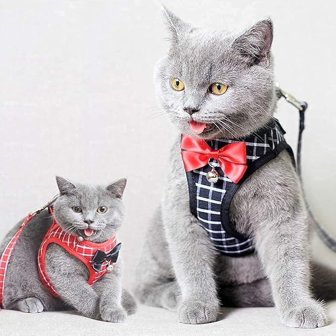Cat Harness and Leash, Breathable Mesh Vest Harness for Puppy Cat Rabbit (Black, S)