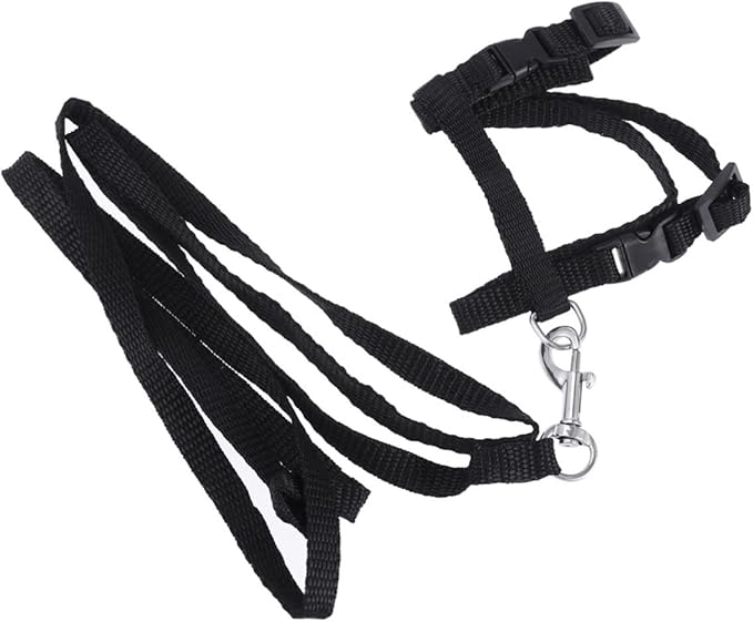 Pet Cat Harness Traction Rope Nylon Collar Leash for Kitten Pet Supplies Accessories