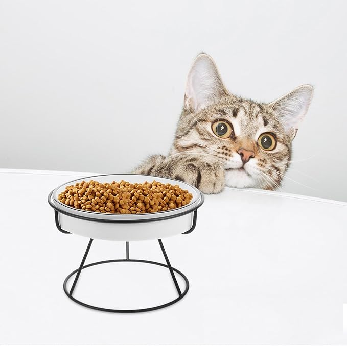 Ceramic Slow Feed Cat Bowl with Elevated Stand, Whisker-Friendly Raised Pet Feeder for Small Dogs and Kittens, Black Anti-gulping Food Tray for Indoor Use