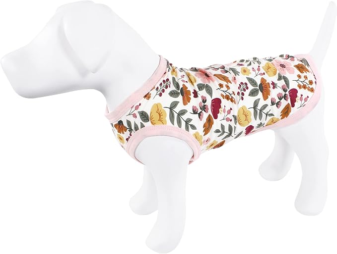 Luvable Friends Dog Pet Dog and Cats Cotton T-Shirts 2pk, Botanical Leopard, X-Large