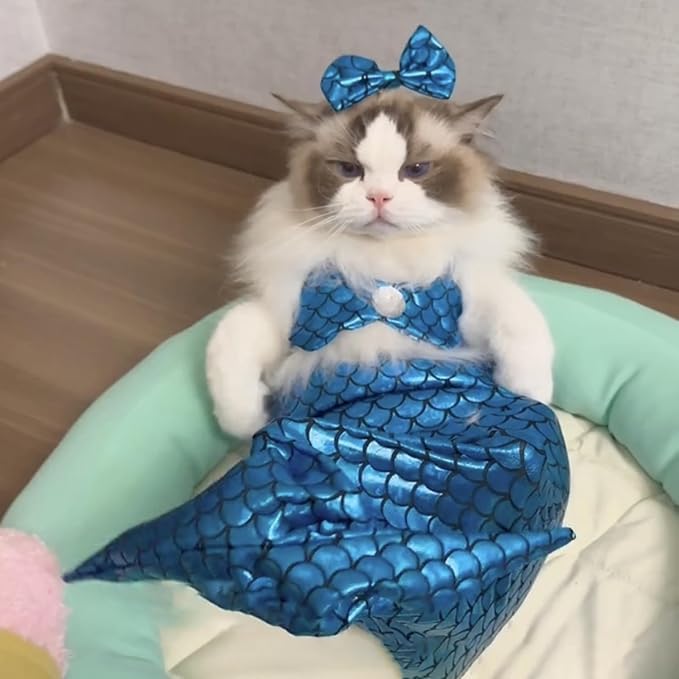 Cat Mermaid Costume Creative Cat and Dog Costumes Funny Fishtail Dress Puppy Mermaid Dress Pet Mermaid Costume Humor Photo Props for Cats and Dogs, Polyester, Blue, One Size (5-13 lbs)
