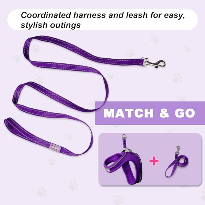 Cat Harness and Leash Set,Escape Proof Kitten Harness,Step in Adjustable Soft Lightweight,Easy Control,Reflective Strips Comfortable for Walking Travel(Purple,XS)