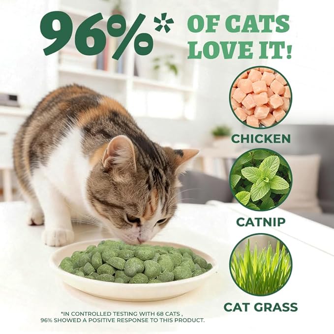 Wellix Natural Catnip & Freeze Dried Catnip Treats for Cats