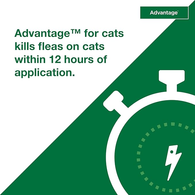 Advantage Topical Cat Flea Treatment and Prevention for Large Cats Over 9 lbs. | Apply Flea Drops Monthly | 2 Treatments (Pack of 2)