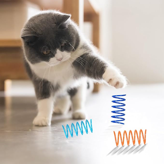 100 Pack 10 Colors Cat Spring Toys, Plastic Spiral Spring Cat Toys for Indoor Cats, Colorful Interactive Toy for Kittens, Cat Exercise Toys for Active Play
