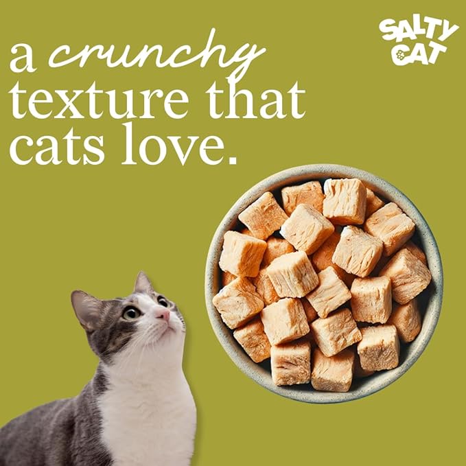 Salty Cat Natural Freeze-Dried Tuna Cat Treats, 10g Bag (12 Pack)