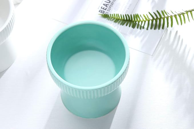 Raised Cat Food Bowl, Stress Free, Backflow Prevention, Elevated Cat Food Bowl Water Bowls with Stand, Porcelain,Dishwasher and Microwave Safe,Green